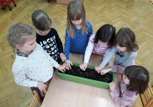 Dziewczynki stoją przy stoliku, przed nimi na stole stoi donica z ziemią i sieją nasionka wiosennych kwiatków.
