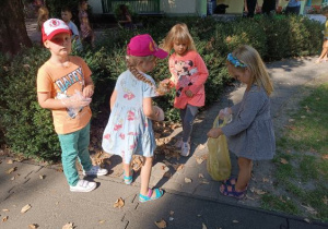 Jedna dziewczynka trzyma worek, a dwie wkładają do niego zeschnięte liście.