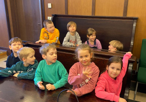 Zdjęcie 16 na 30