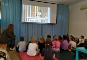 Zdjęcie 4 na 38