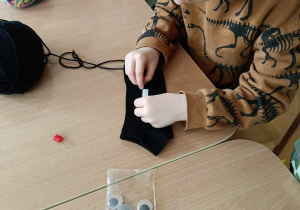 Zdjęcie 19 na 47