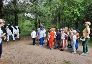 Zdjęcie 9 na 35