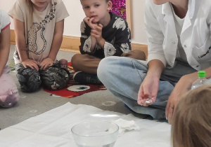 Zdjęcie 19 na 44