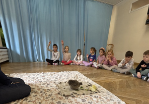 Dzieci siedzą w półkolu i zadają pytania Pani o kurce.