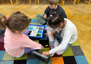 Dwie dziewczynki i chłopiec siedzą na dywanie i budują z klocków Lego na zajęciach z robotyki.