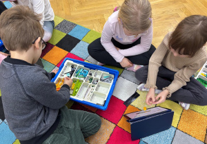 Dziewczynki i chłopiec siedzą na dywanie i budują z klocków Lego na zajęciach z robotyki.