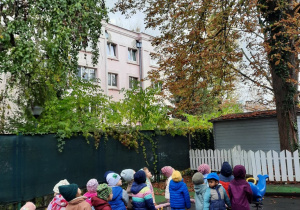 Dzieci stojąc w ogrodzie i trzymając się za węża spacerowego, oglądają drzewo kasztanowca.