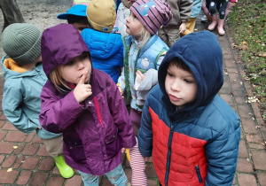 Maluchy w skupieniu i ciszy słuchają śpiewu ptaków siedzących w koronach drzew.