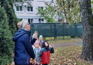 Nauczycielka wskazuje dzieciom drzewo - klon pospolity, z którego opadły oskrzydlone owoce.