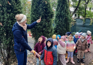 Nauczycielka pokazuje dzieciom owoc klonu - skrzydlaka.