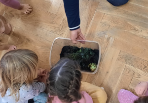 Dwie dziewczynki zaglądają do pudełka z żabą błotną.