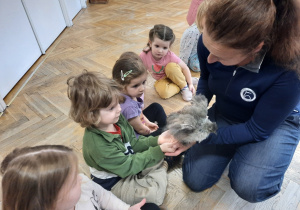 Chłopiec trzyma kurczaka w dłoniach.