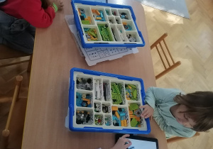 Trzy dziewczynki i chłopiec budują roboty z klocków Lego na zajęciach z robotyki, a instrukcja wyświetla im się na tabletach.
