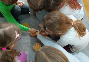 Dzieci siedzą na dywanie i oddzielają groch od makaronu.